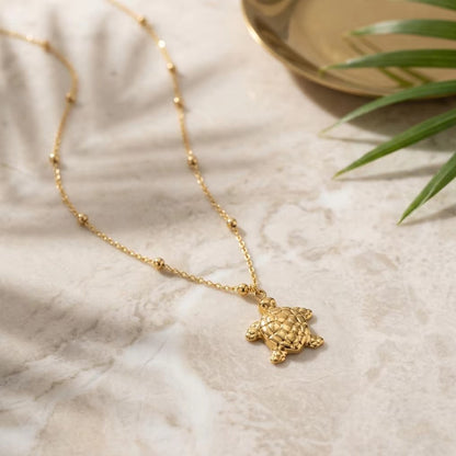 bf0f7b8f5c8e1ce957ffcd688d695eb9